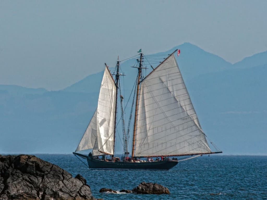 salts tall ship