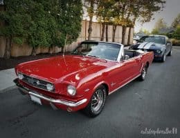 classic mustang