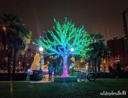 english bay christmas lights