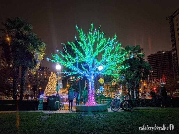 english bay christmas lights