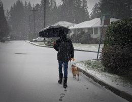 walking mika in snow