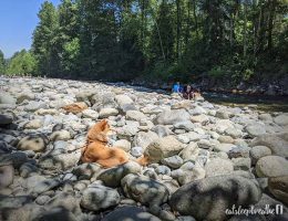 mika at the river