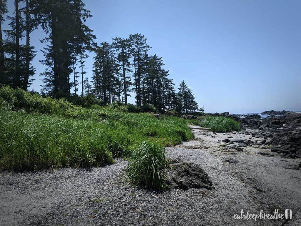 big beach ucluelet 1